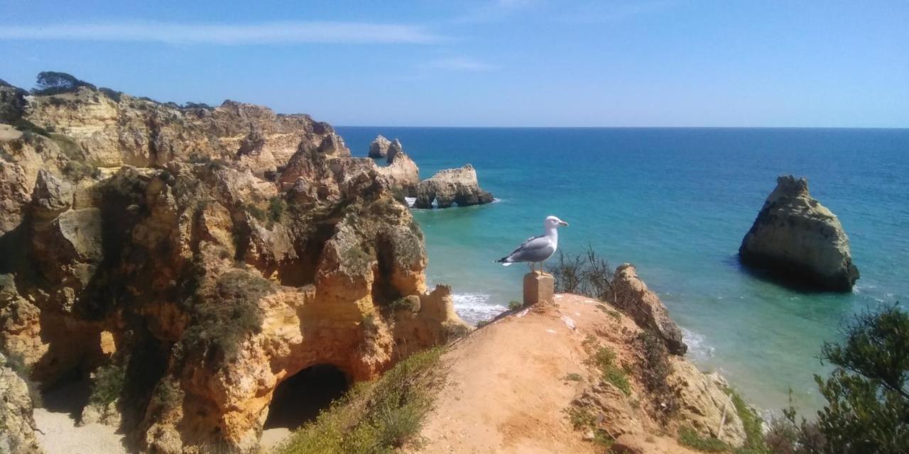 T2 De Luxo Em Albur-Village A 10 Minutos Da Praia A Pe Alvor Εξωτερικό φωτογραφία